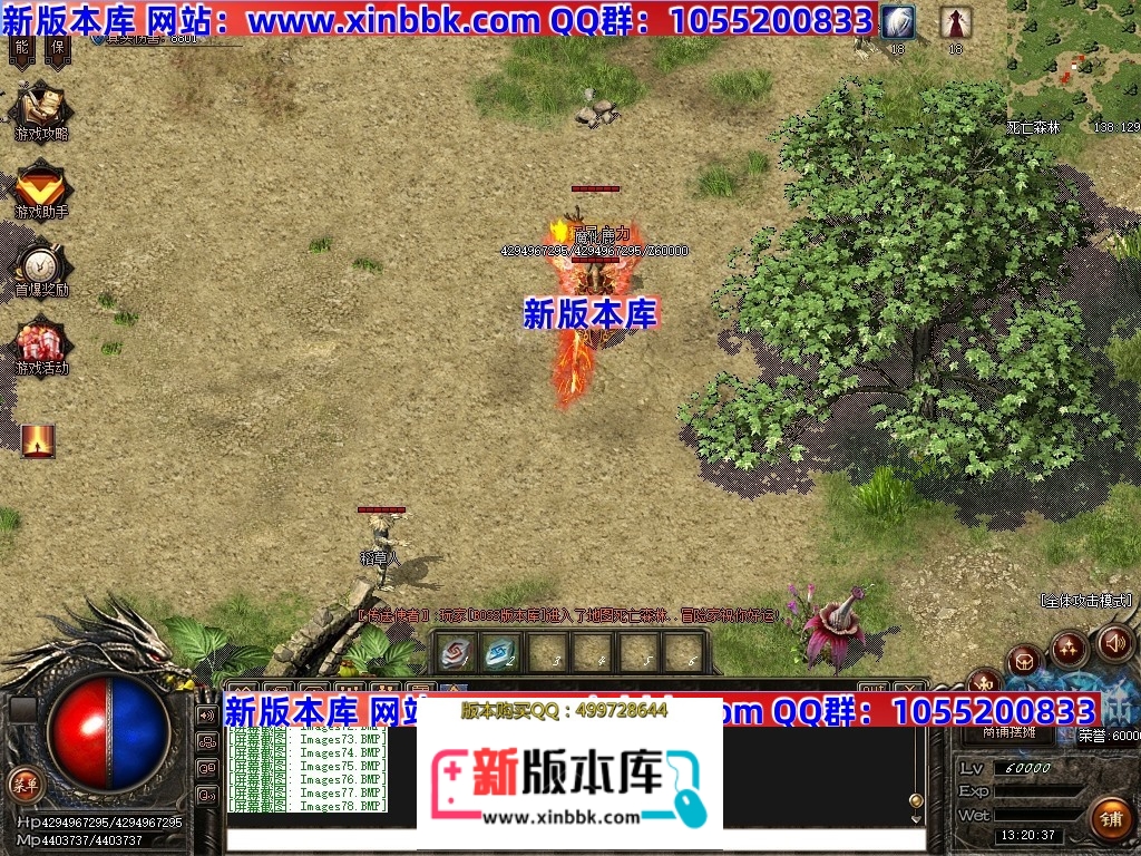 Images79压缩后.JPG