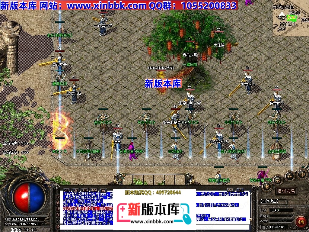 1-241120164634307.jpg
